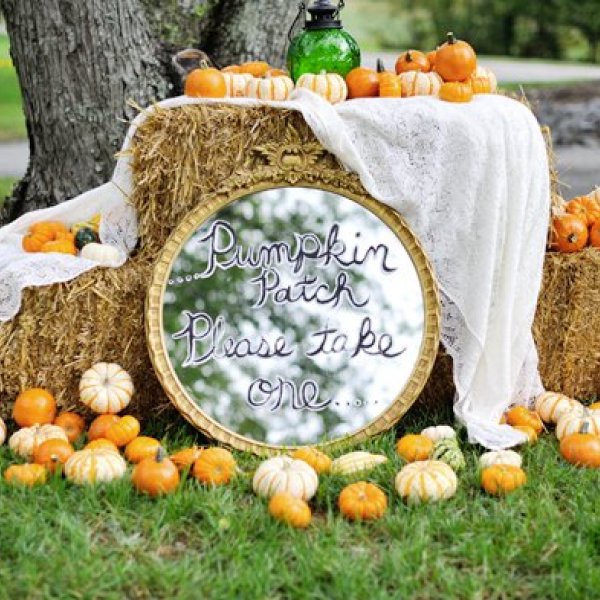 pumpkin wedding decorations