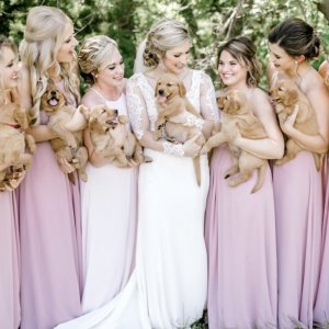 Bride and bridesmaids carrying puppies