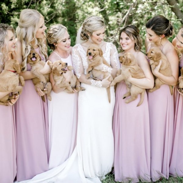 Bride and bridesmaids carrying puppies