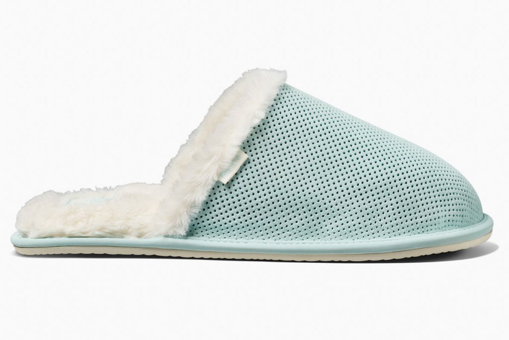 reef slipper